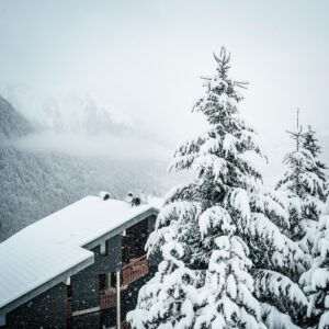 Carnaval 2025 – Chalet « Le Nid Alpin » – Châtel
